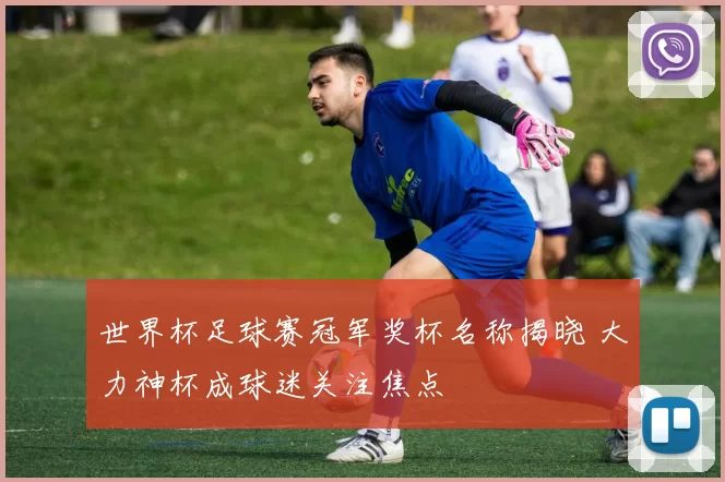 世界杯足球赛冠军奖杯名称揭晓 大力神杯成球迷关注焦点