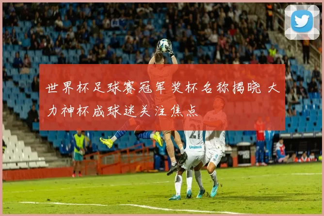 世界杯足球赛冠军奖杯名称揭晓 大力神杯成球迷关注焦点