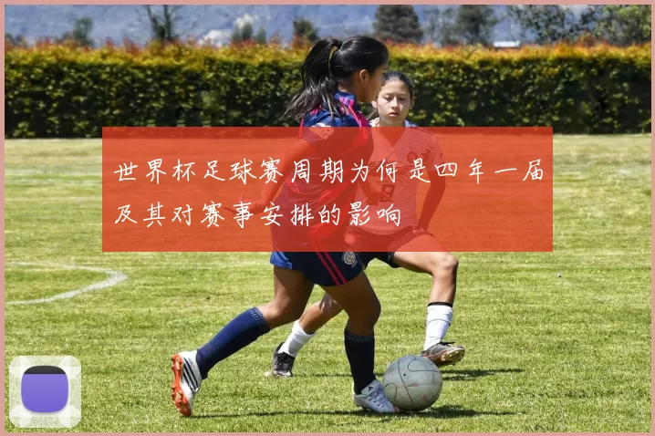 世界杯足球赛周期为何是四年一届及其对赛事安排的影响