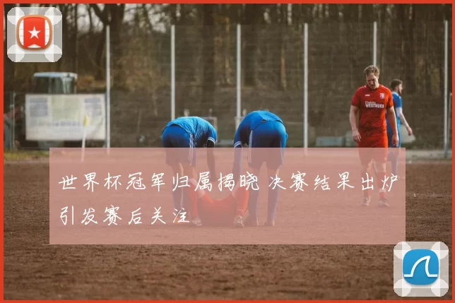 世界杯冠军归属揭晓 决赛结果出炉引发赛后关注
