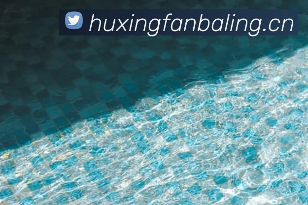 中欧官方端网站登录入口 - 中欧(中国)平台生态图